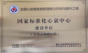 全国心血管疾病管理能力评估与提升工程国家标准化心衰中心建设单位