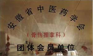 安徽省中医药学会骨伤推拿科团体会员单位