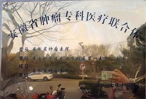 安徽省肿瘤专科医疗联合体