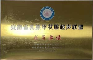 安徽省乳腺甲状腺超场联体成员单位