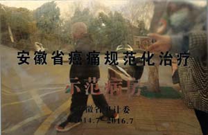 安徽省癌痛规范化治疗示范病房